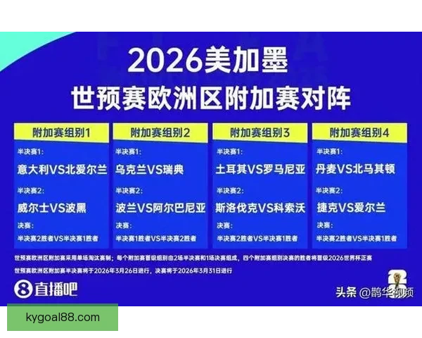 2026世界杯精彩回顾各队表现与冠军争夺全解析